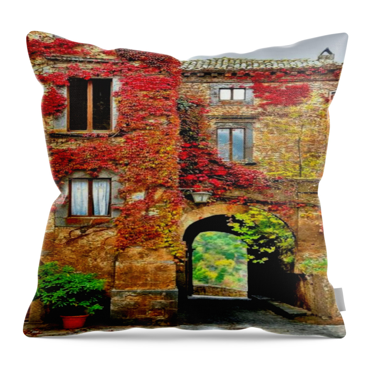  Throw Pillow featuring the photograph Bagnoregio Italy by Digital Art Cafe