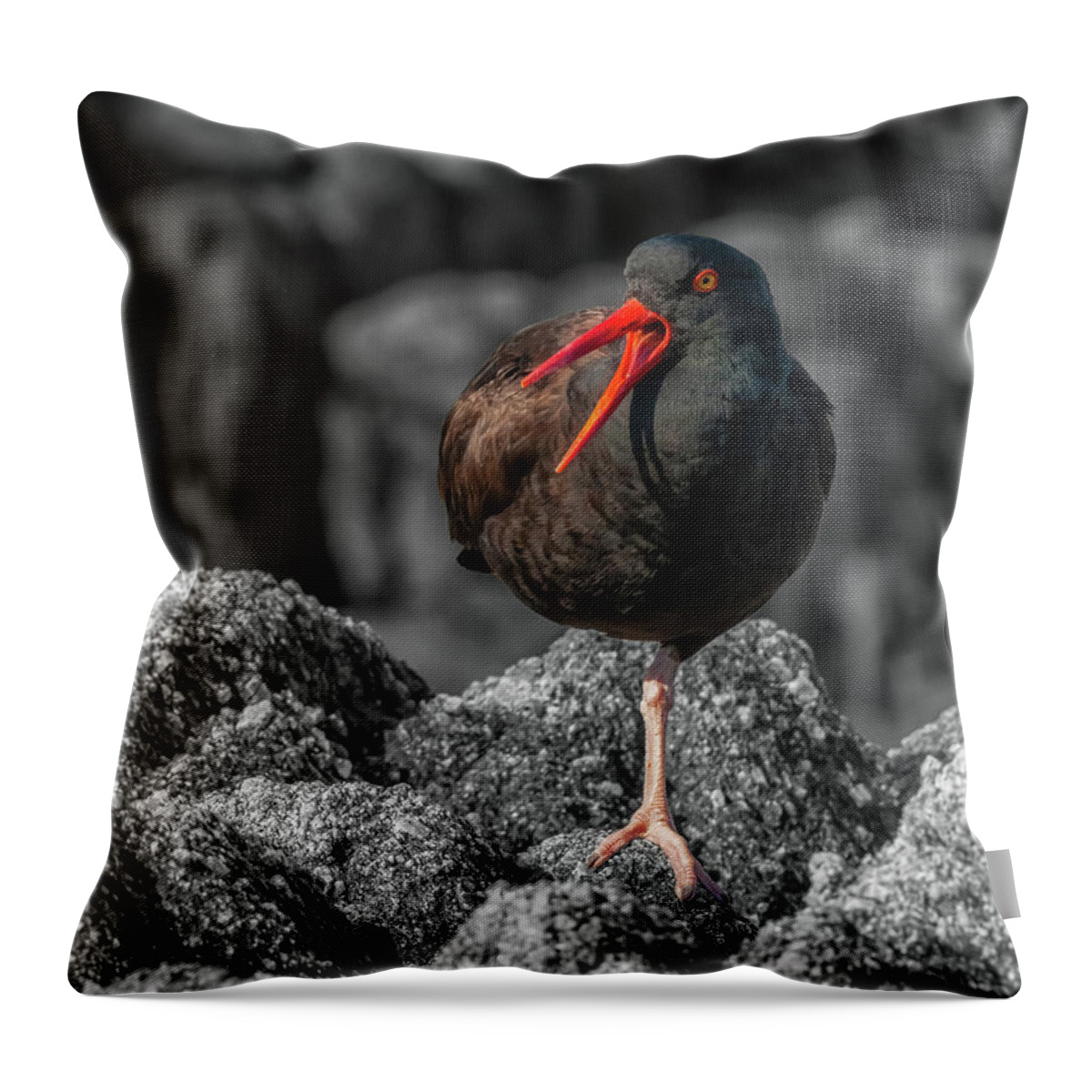  Wildlife Throw Pillow featuring the photograph Balancing Act by Jonathan Nguyen
