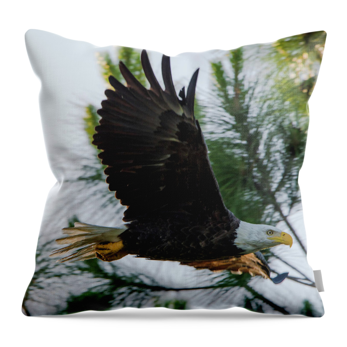 American Throw Pillow featuring the photograph Bald Eagle Flying at Dawn by Artful Imagery