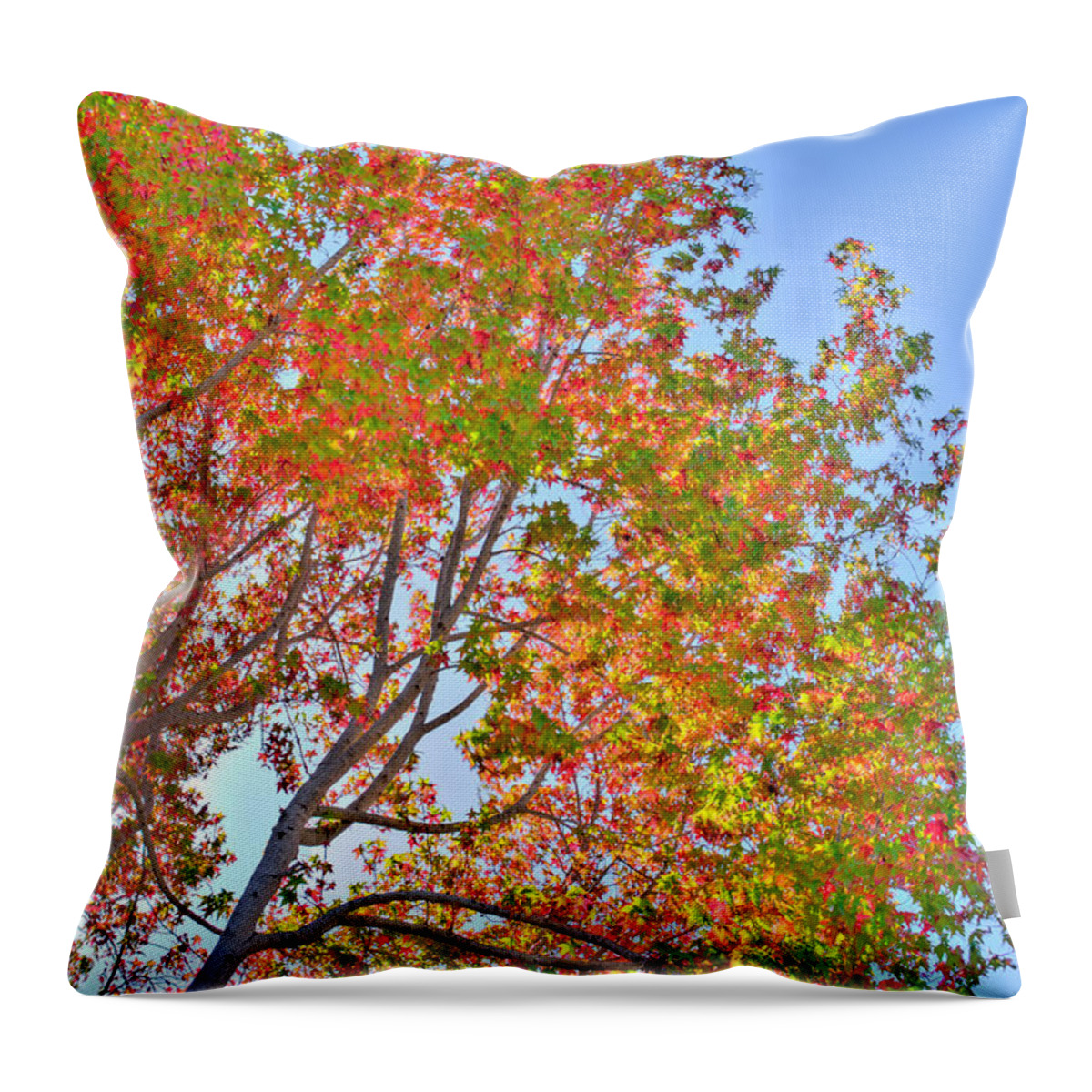 Fall Throw Pillow featuring the photograph Ball to the Wall Fall by Derek Dean