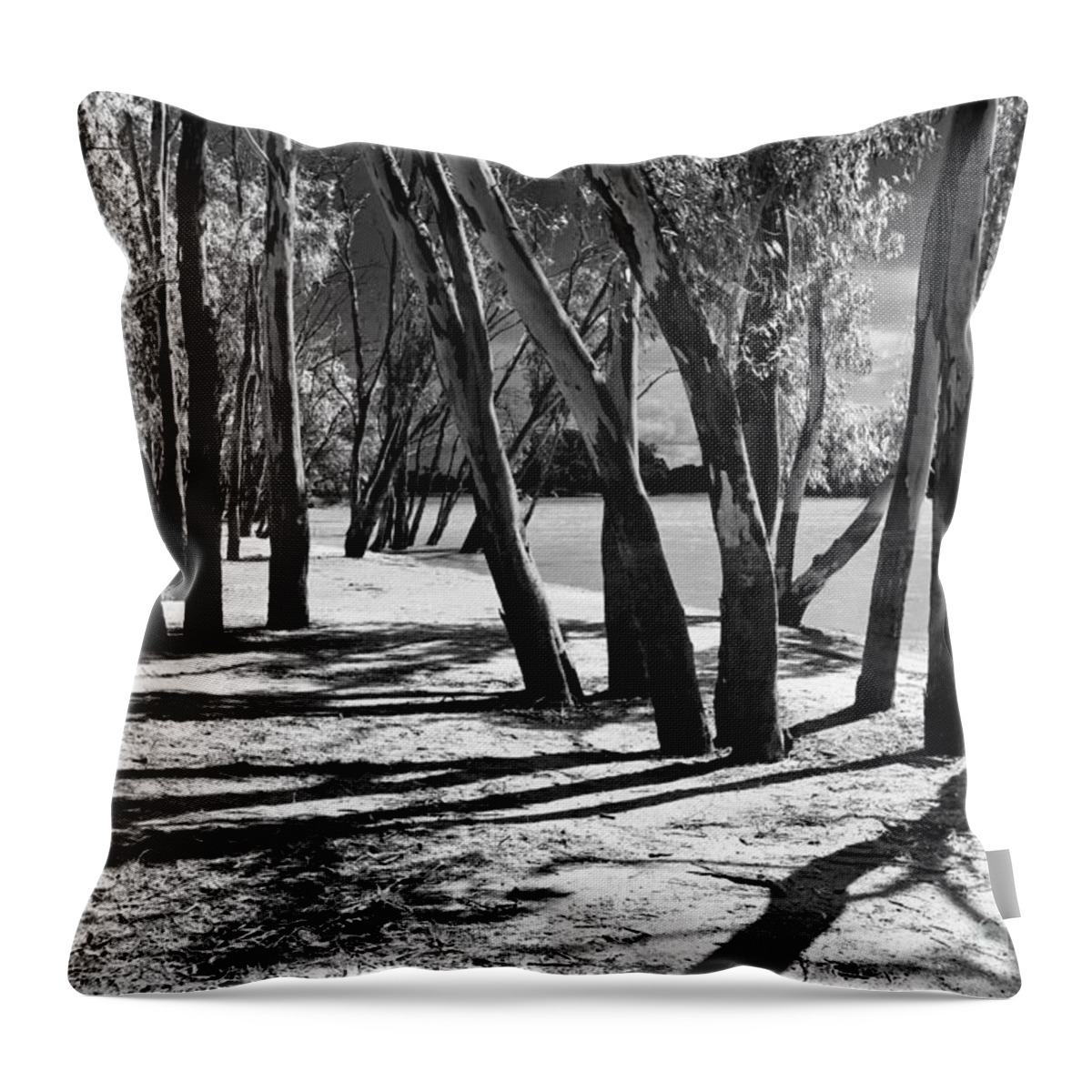 Banks Of The Murray River Loxton Riverland South Australia B&w Throw Pillow featuring the photograph Banks of the Murray River by Bill Robinson