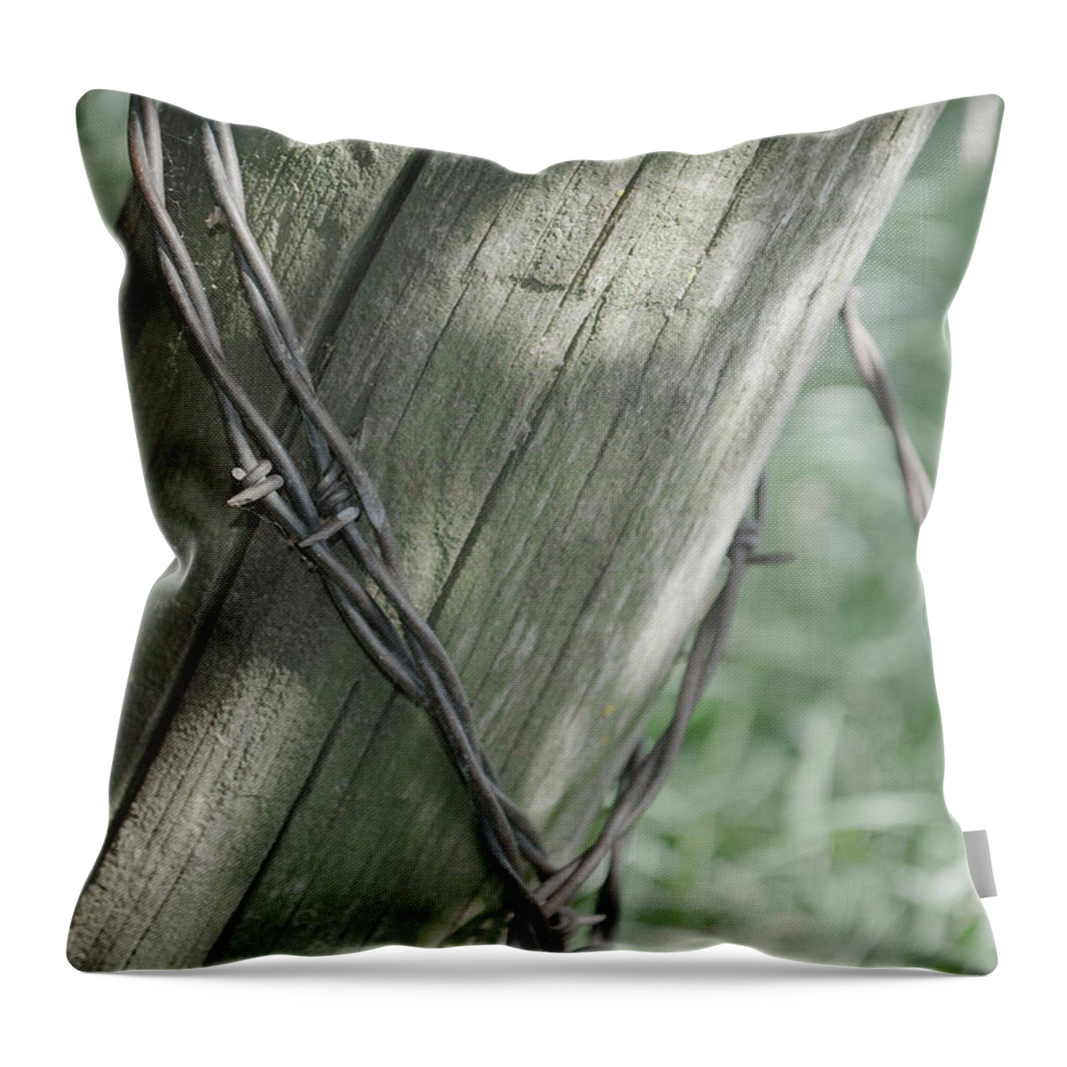 Barbwire Throw Pillow featuring the photograph Barbwire Shadow by Troy Stapek