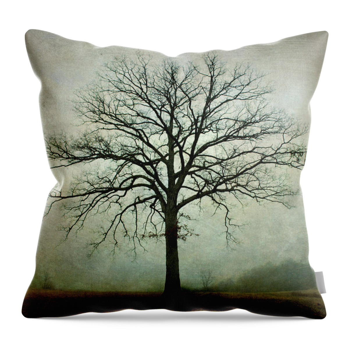 Lone Tree Throw Pillow featuring the photograph Bare Tree and Fog by David Gordon
