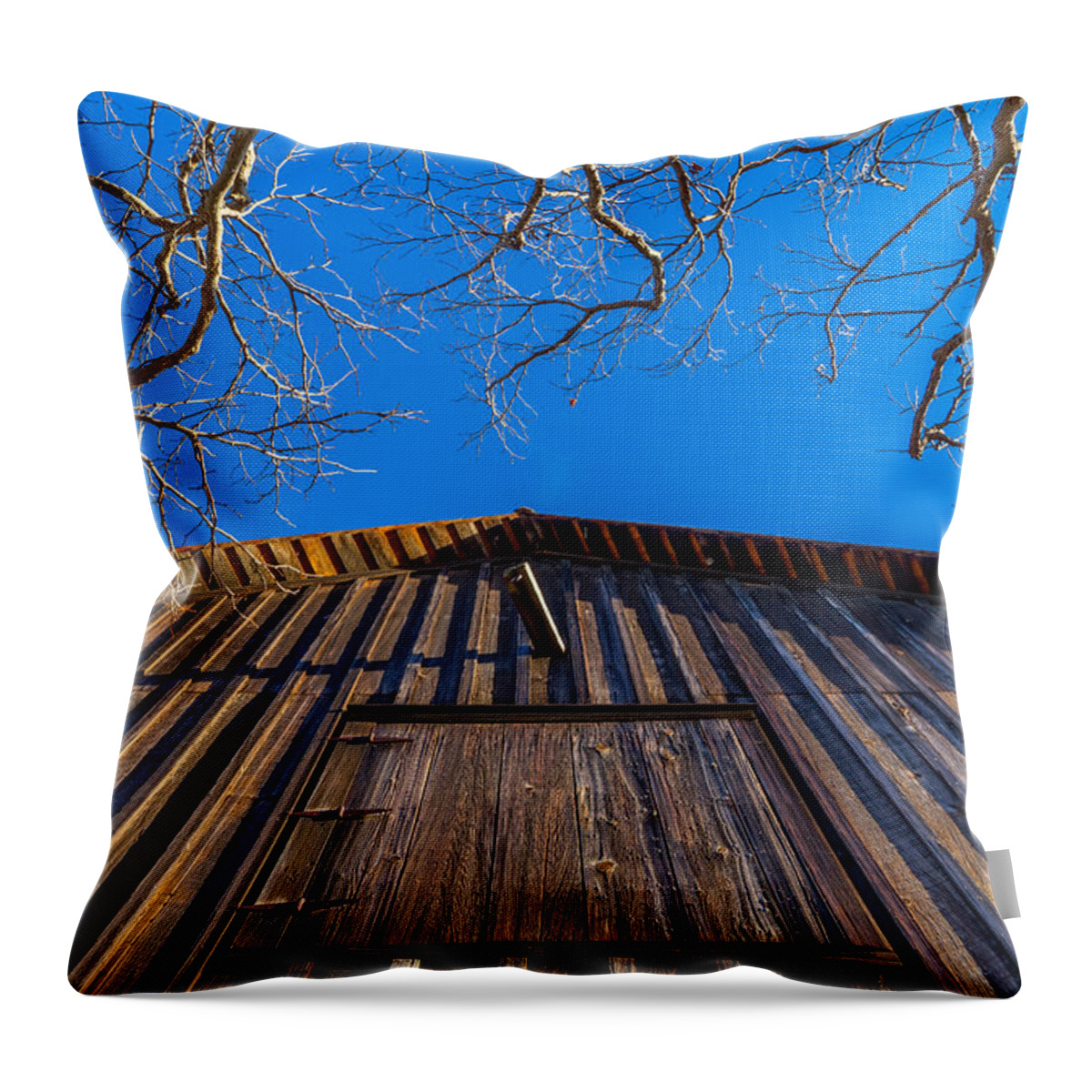Barn Throw Pillow featuring the photograph Barn and Trees by Derek Dean
