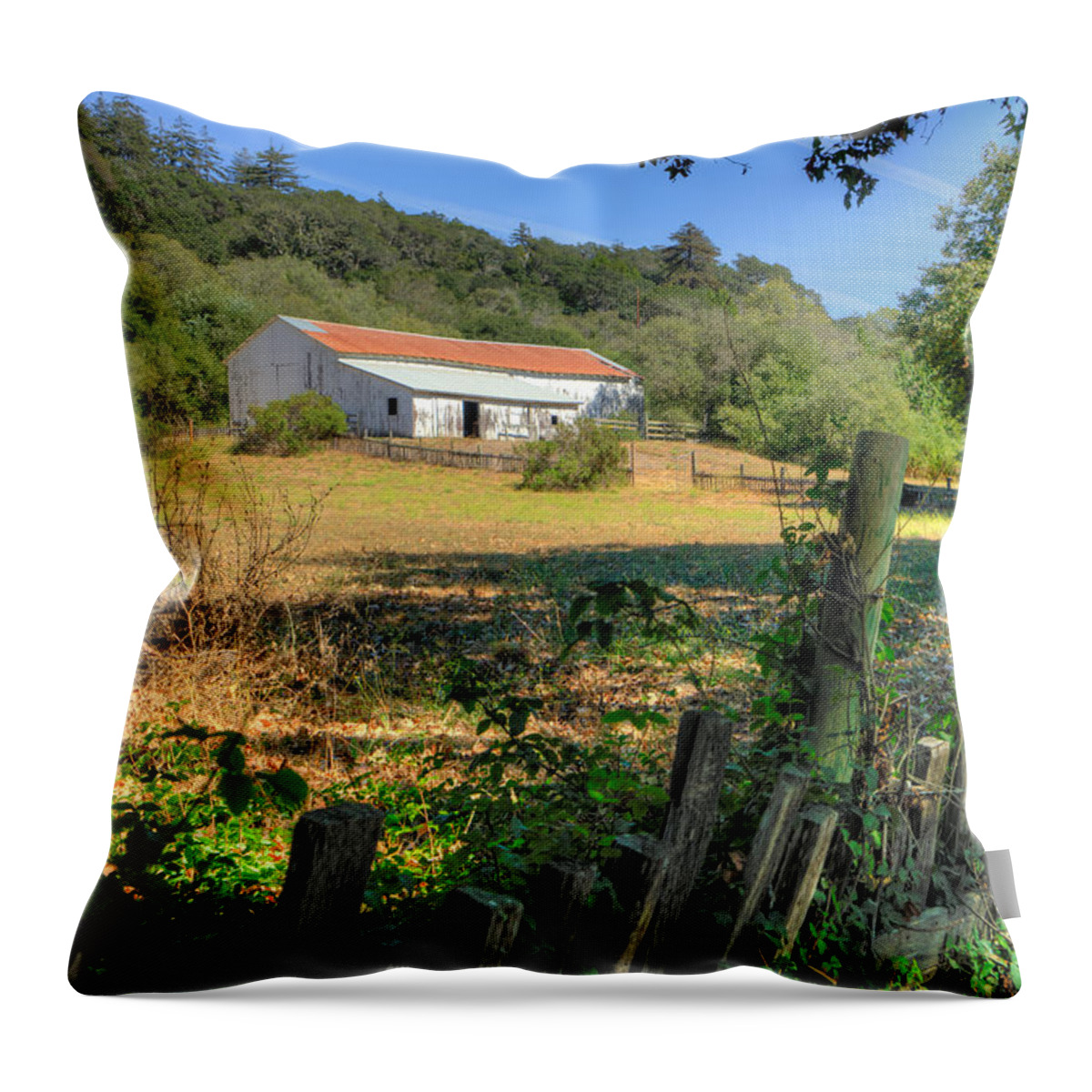 Big Sur Throw Pillow featuring the photograph Barn in Big Sur by Derek Dean