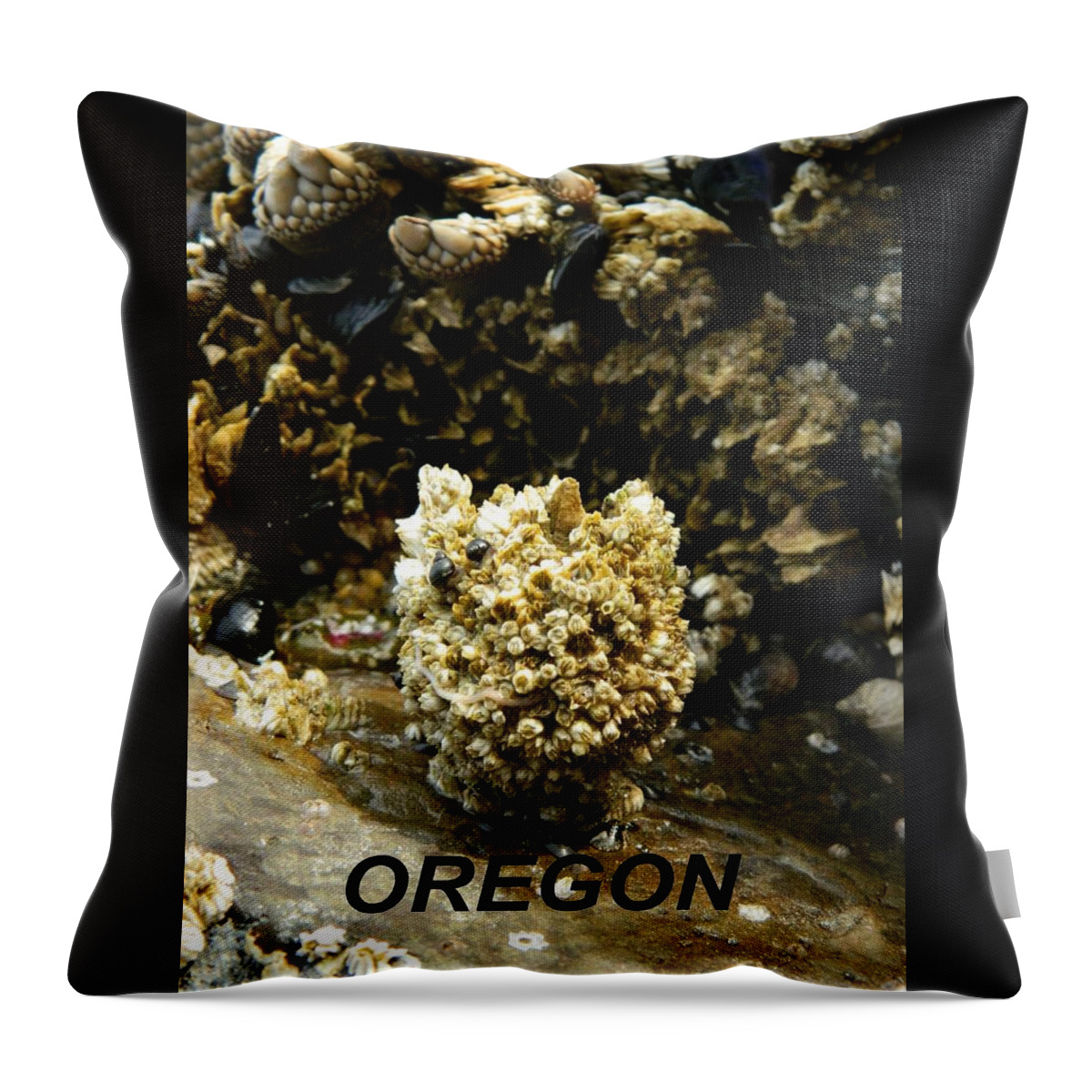 Worms Throw Pillow featuring the photograph Barnacle With Worm by Gallery Of Hope 