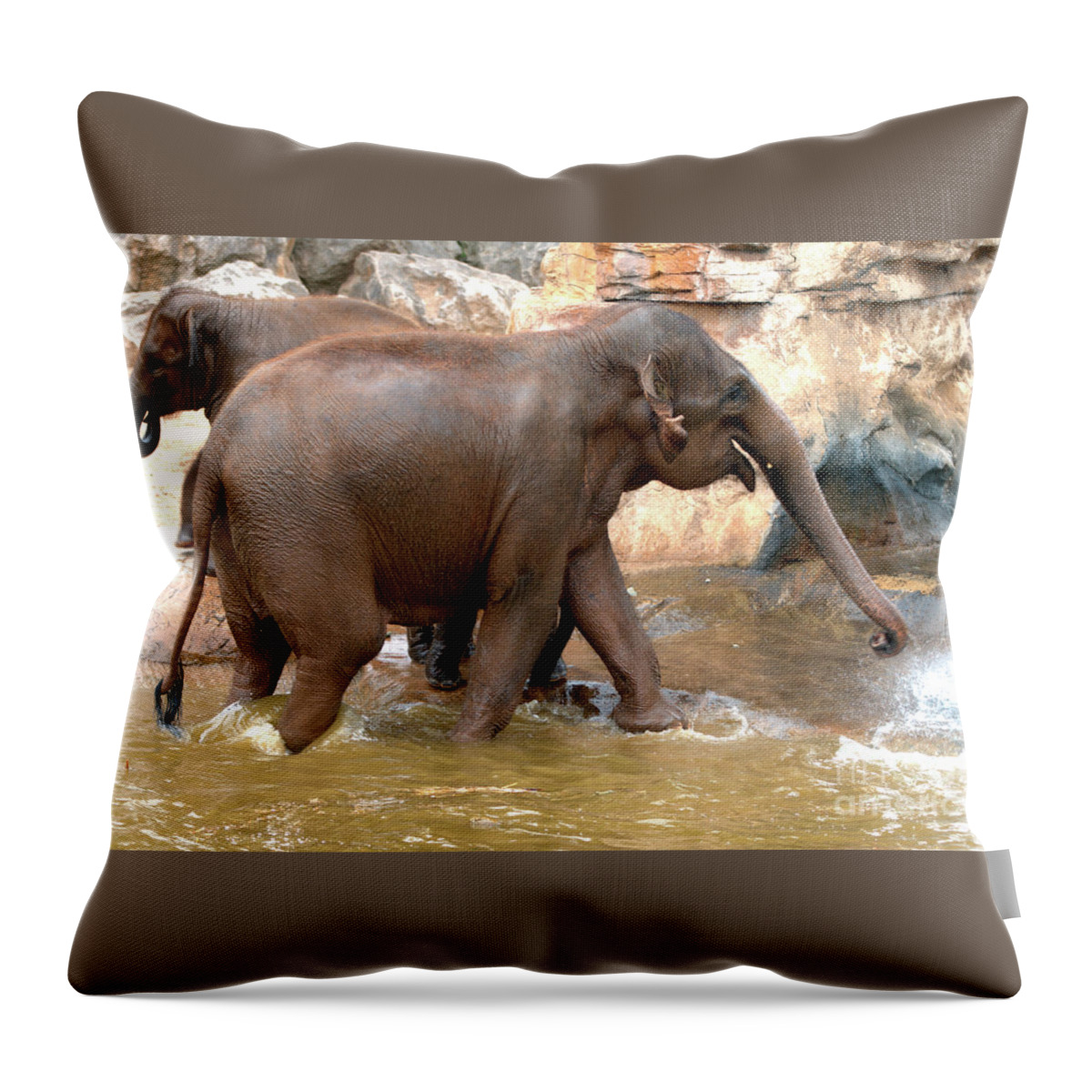 Elephants Throw Pillow featuring the photograph Bath Time by Baggieoldboy