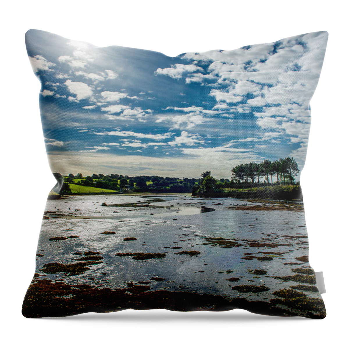 Ireland Throw Pillow featuring the photograph Bay at Low Tide in Clonakilty in Ireland by Andreas Berthold