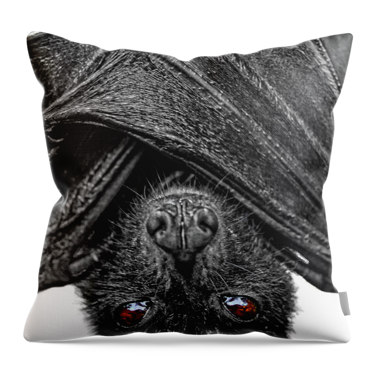 Bat Throw Pillow featuring the photograph Be Afraid by Yhun Suarez