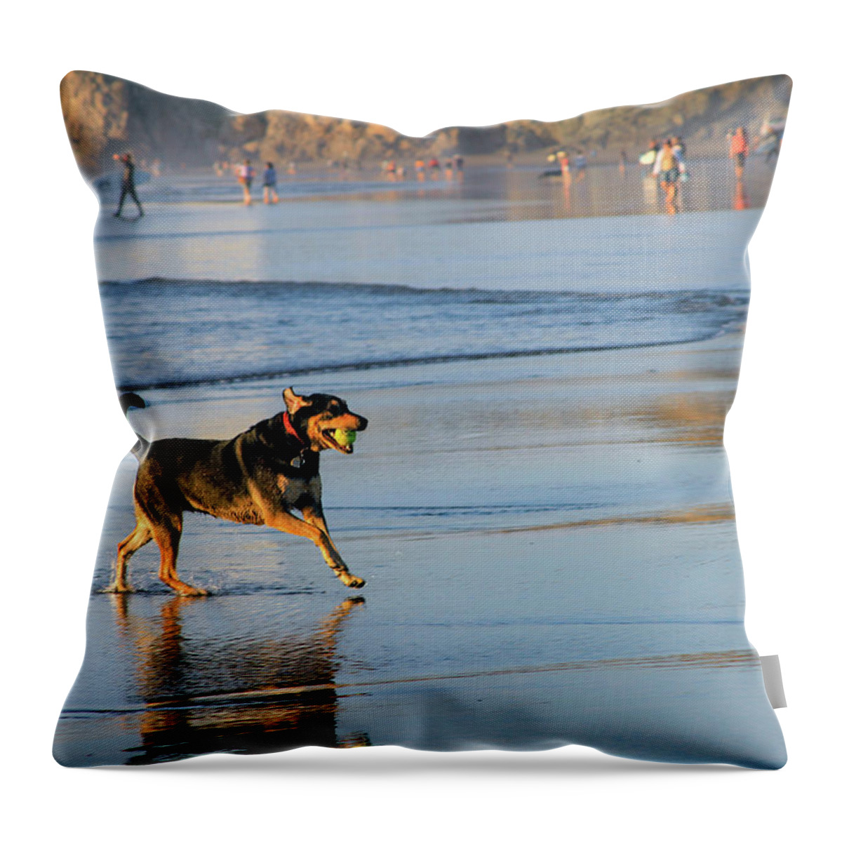 Bonnie Follett Throw Pillow featuring the photograph Beach Dog Playing Fetch by Bonnie Follett