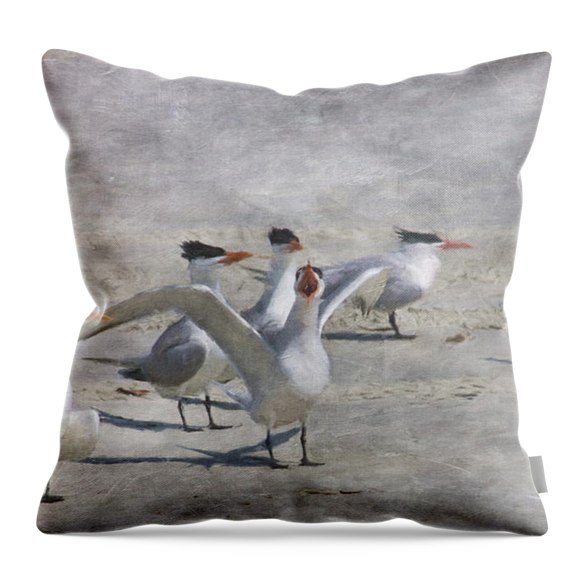 Royal Tern Throw Pillow featuring the digital art Beach Party by Jayne Carney