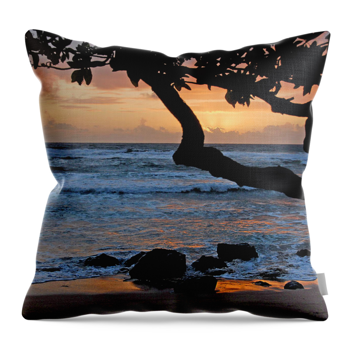 Sunrise Throw Pillow featuring the photograph Beach Sunrise by Ted Keller