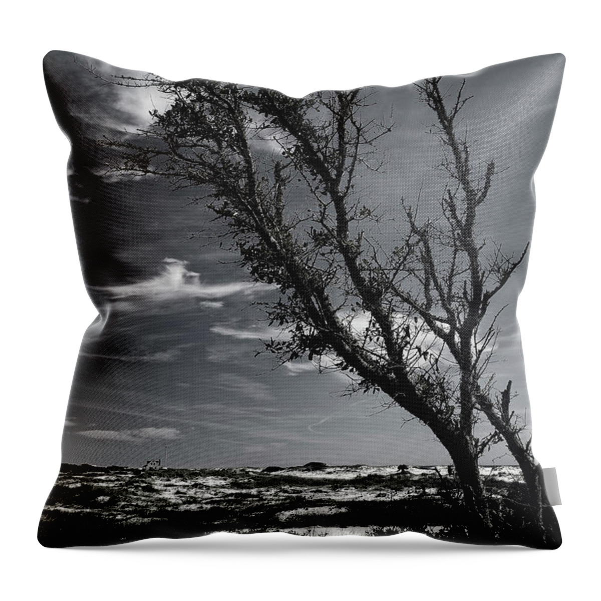 Sand Throw Pillow featuring the photograph Beach Tree by George Taylor