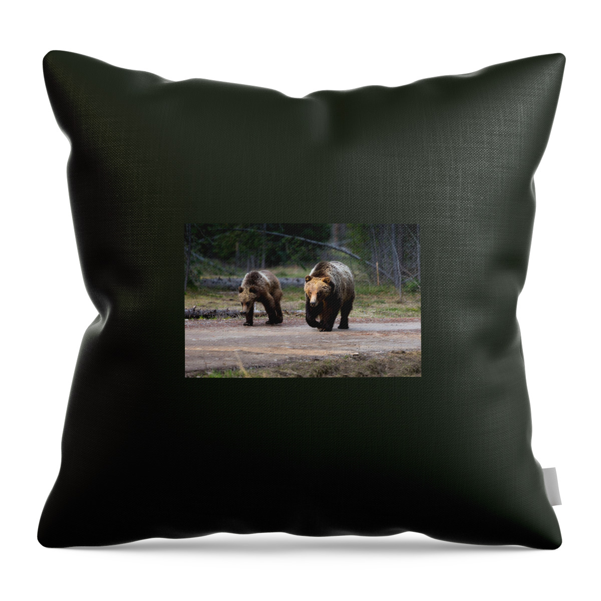 Bear Throw Pillow featuring the photograph Bear Crossing by Carolyn Mickulas