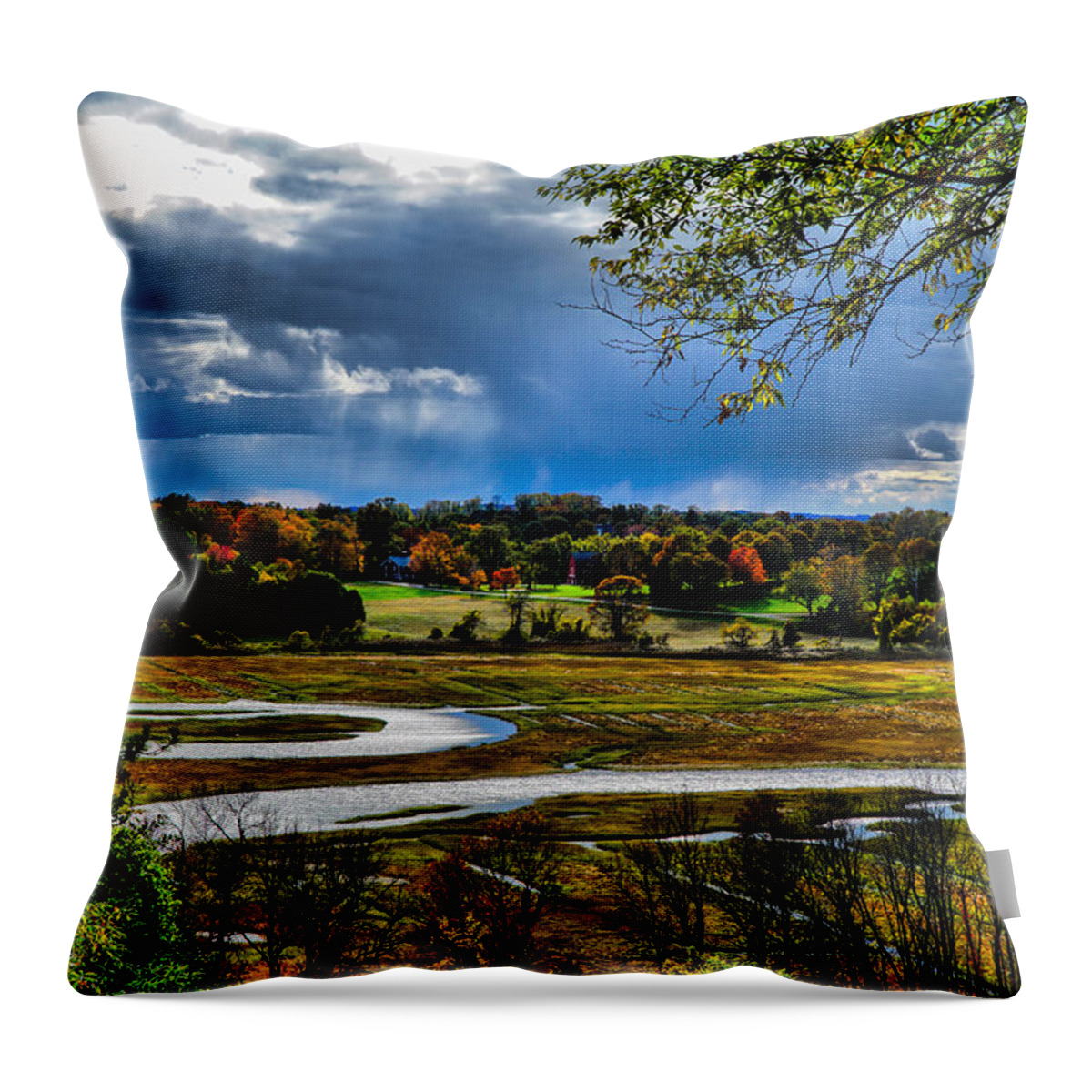 Landscape Throw Pillow featuring the photograph Beautiful Autumn evening by Lilia D