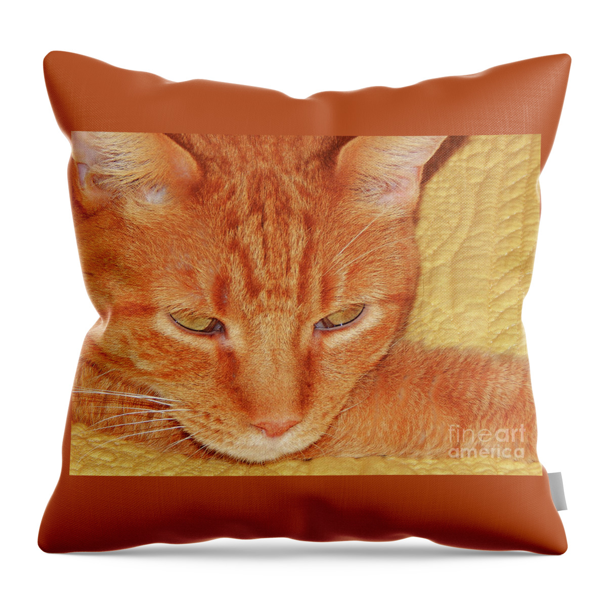 Cat Throw Pillow featuring the photograph Beauty Of A cat by Jan Gelders