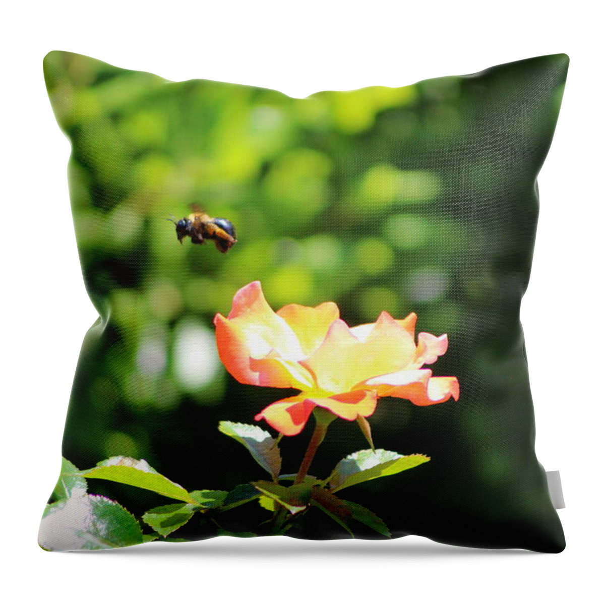 Bee Flying From Peach Petal Rose Throw Pillow