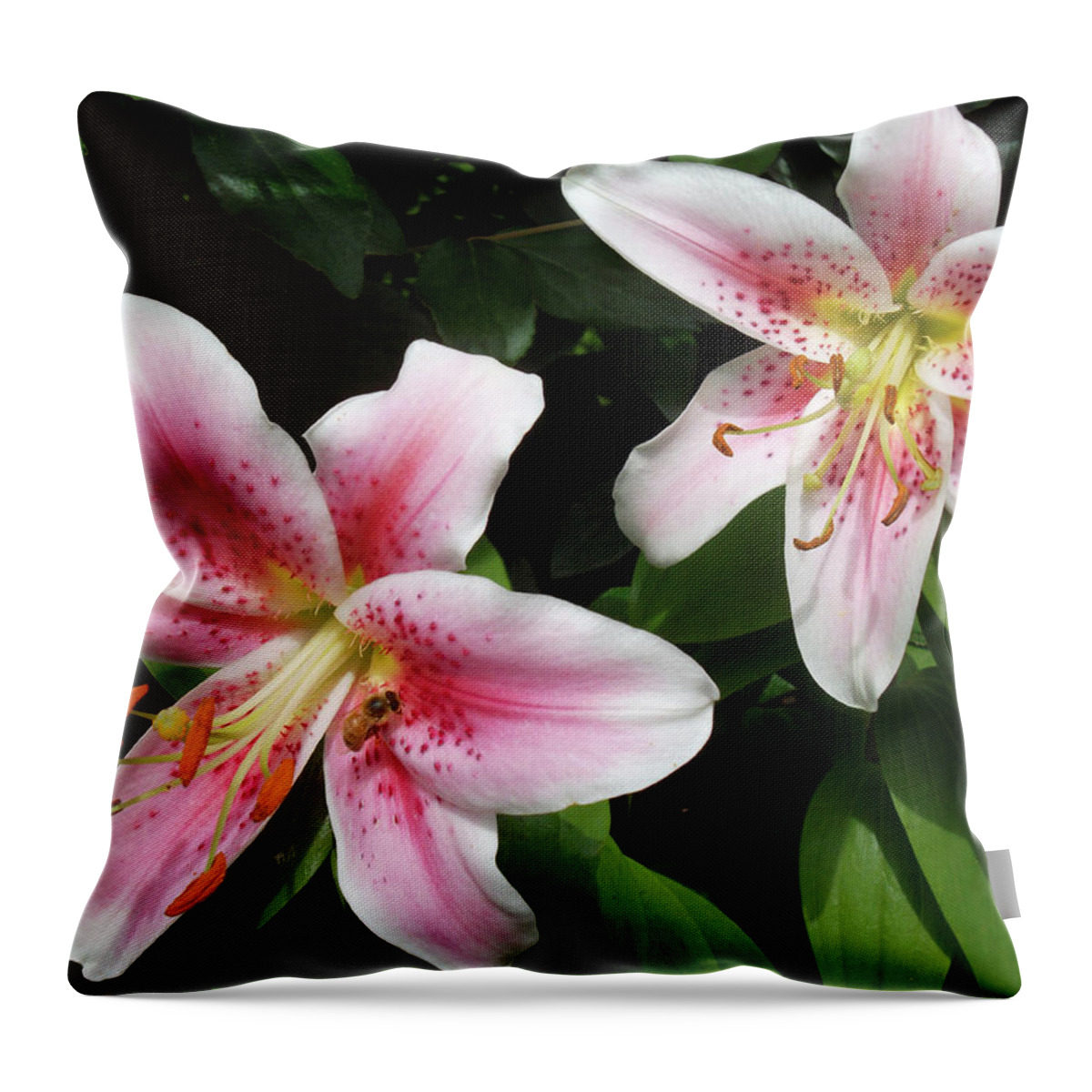 Honey Bee Throw Pillow featuring the photograph Bee in the Lilies by Susan Esbensen