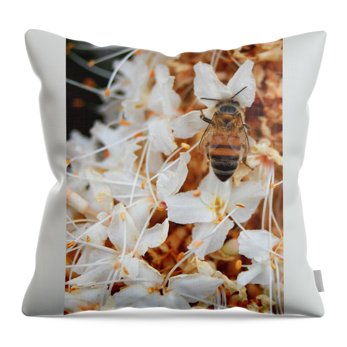 Flower Throw Pillow featuring the photograph Bee on Flowers 2 by Amy Fose