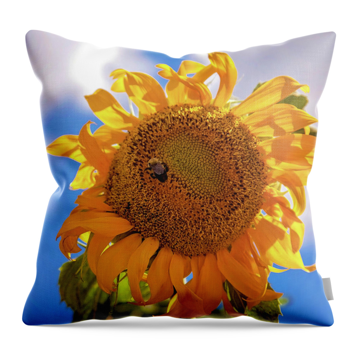 Sunflower Throw Pillow featuring the photograph Bee shaded by Sunflower by Toni Hopper