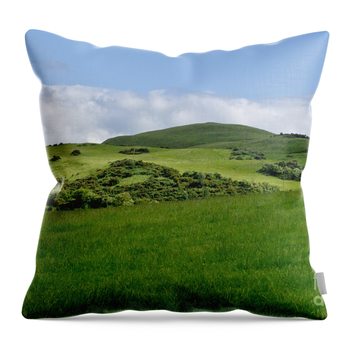 Beecraigs Throw Pillow featuring the photograph Beecraigs Hills. by Elena Perelman