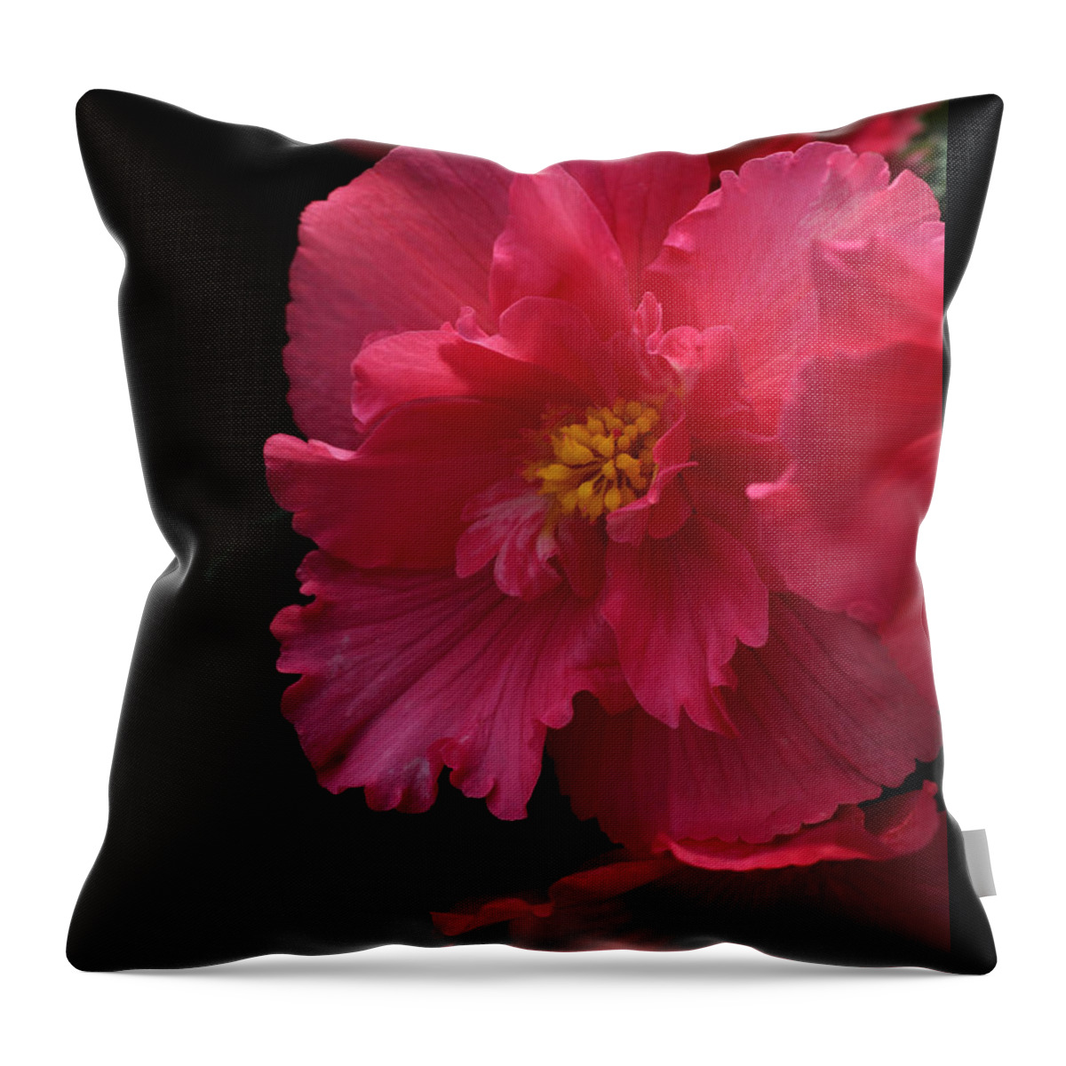 Flower Throw Pillow featuring the photograph Begonia by Tammy Pool