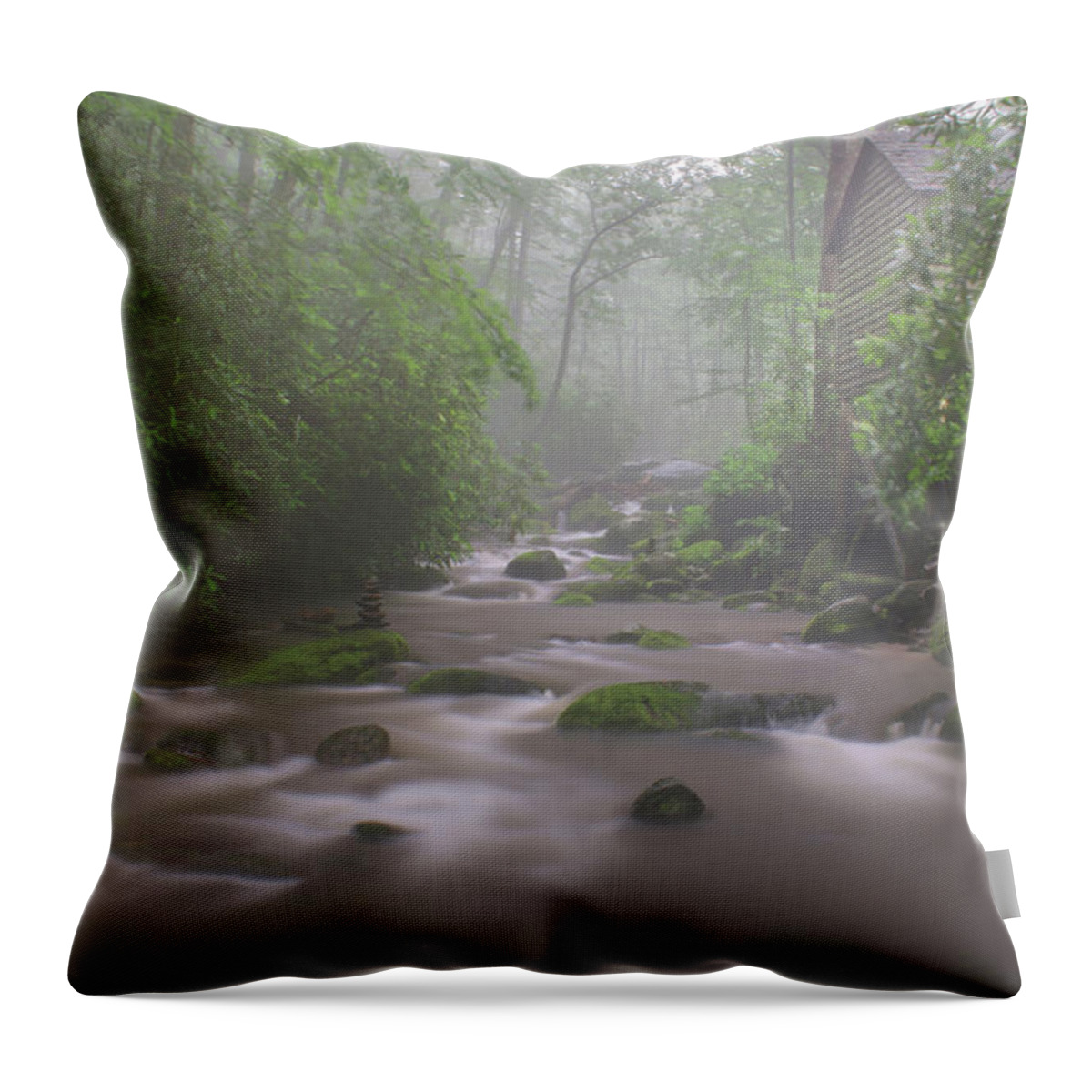 Nunweiler Throw Pillow featuring the photograph Behind the Mill by Nunweiler Photography