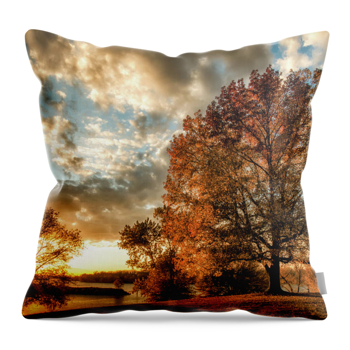 Belle Point Throw Pillow featuring the photograph Belle Point by James Barber