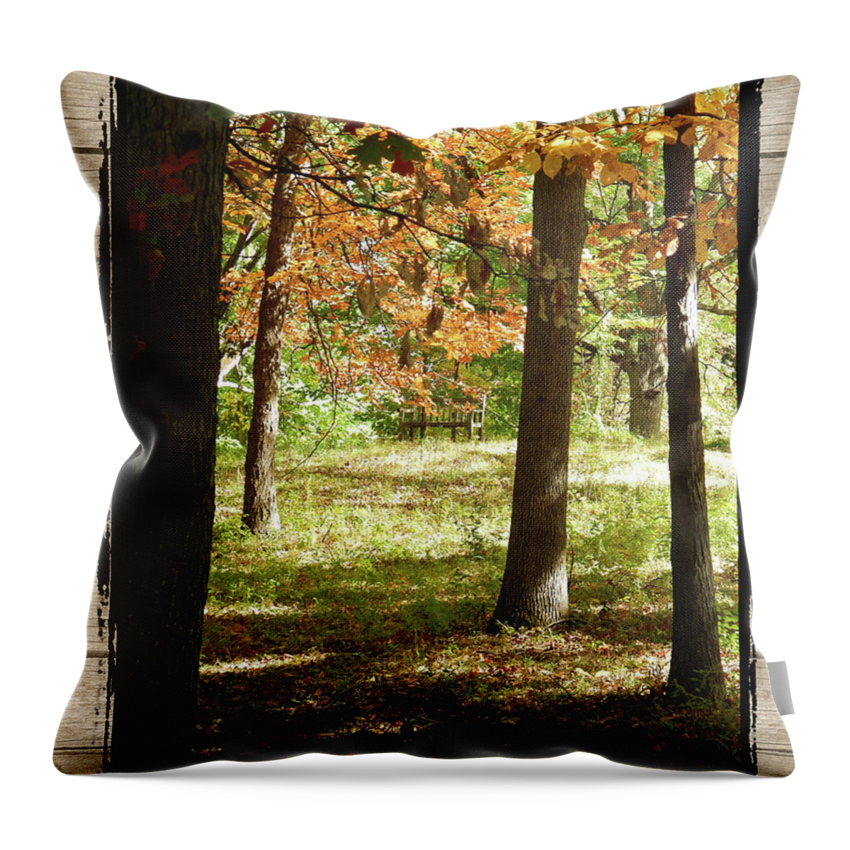 Ann Arbor Throw Pillow featuring the photograph Bench In The Woods by Phil Perkins