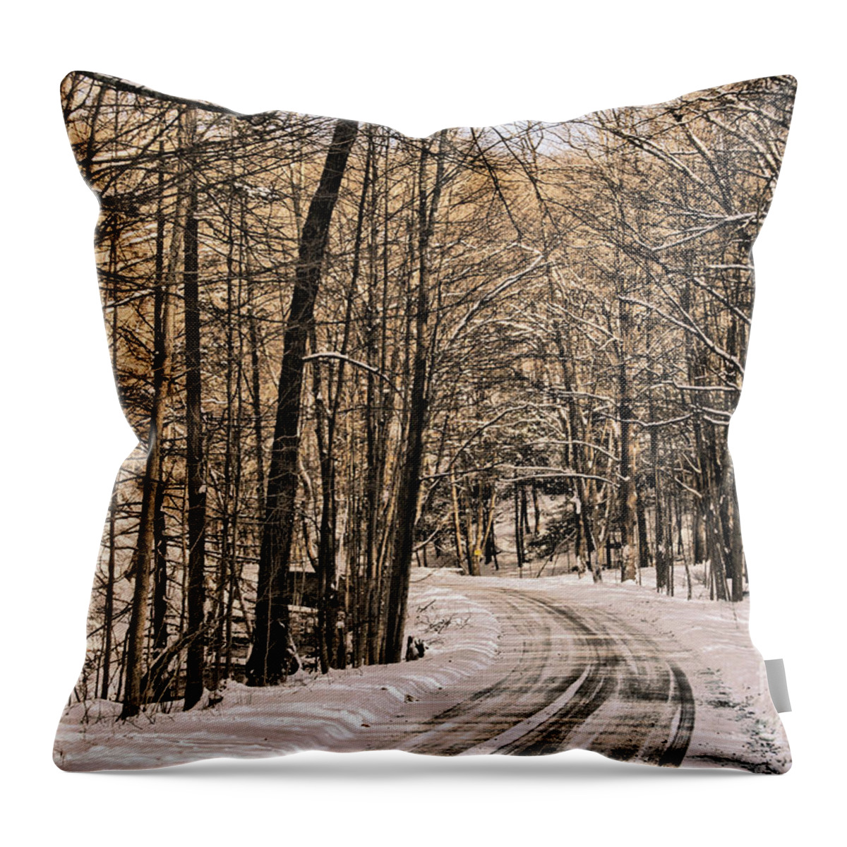 Winter Throw Pillow featuring the photograph Bend in the Road by Onedayoneimage Photography