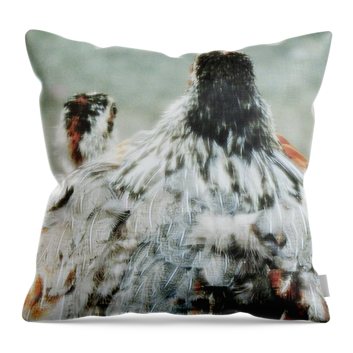 Wildlife Chicken Wild Hen Chicks Rain Safety Parenting Wildlife Photography Bird Photography Nature Love Throw Pillow featuring the photograph Beneath My Wings by Jan Gelders