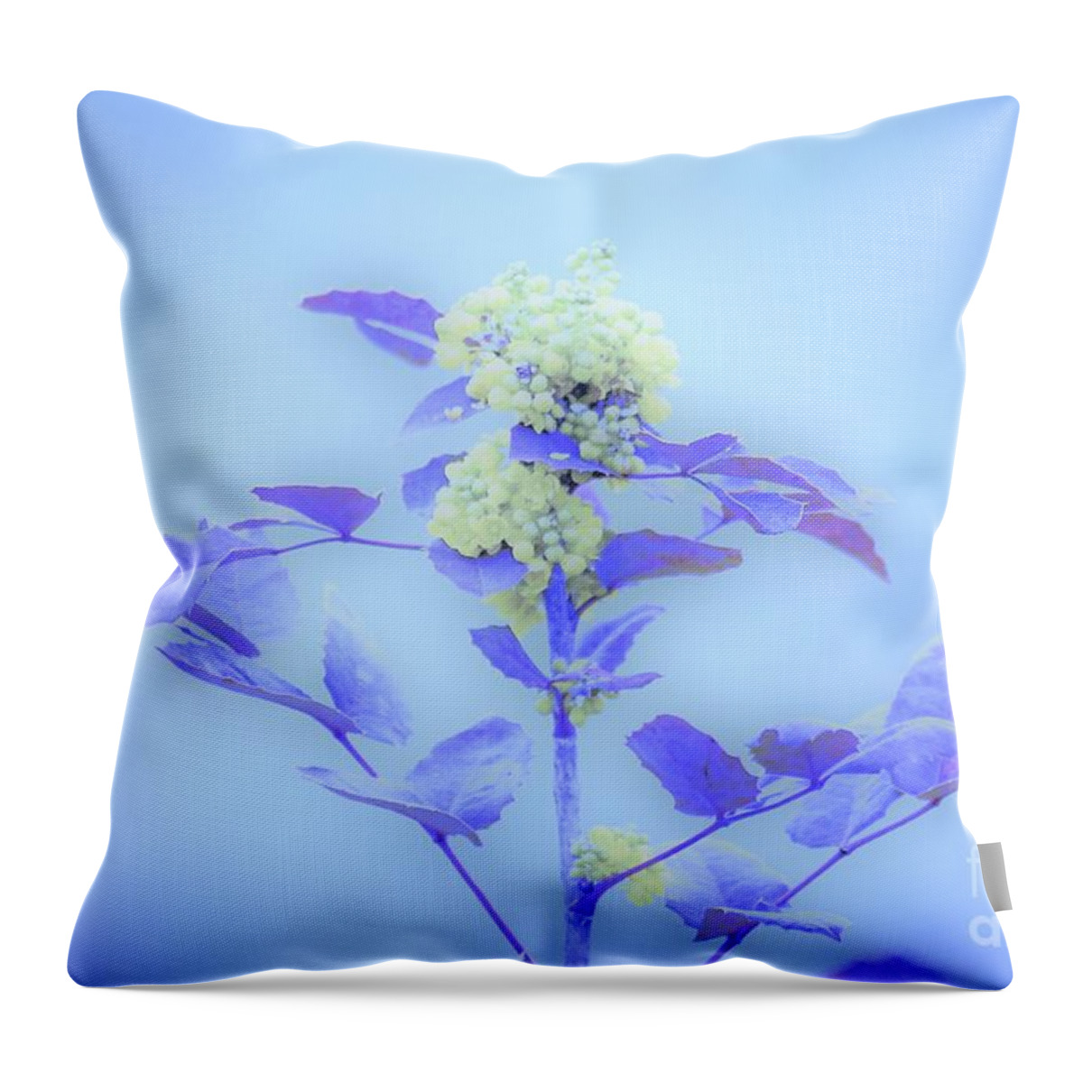 Floral Throw Pillow featuring the photograph Berries on blue by Merle Grenz