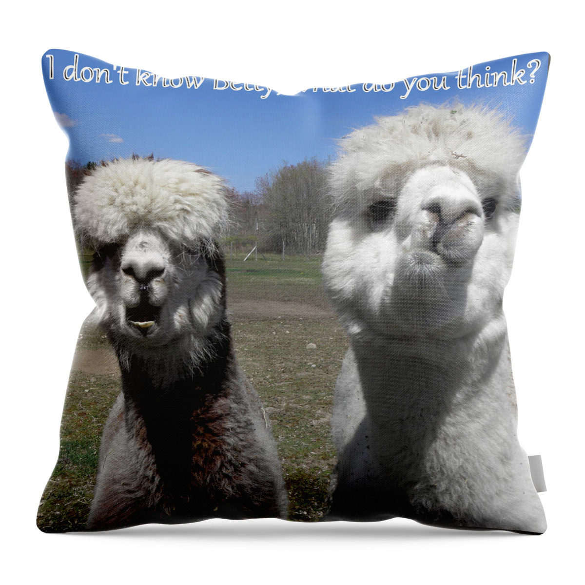 Alpaca Throw Pillow featuring the photograph Betty what do you think by Kim Galluzzo Wozniak
