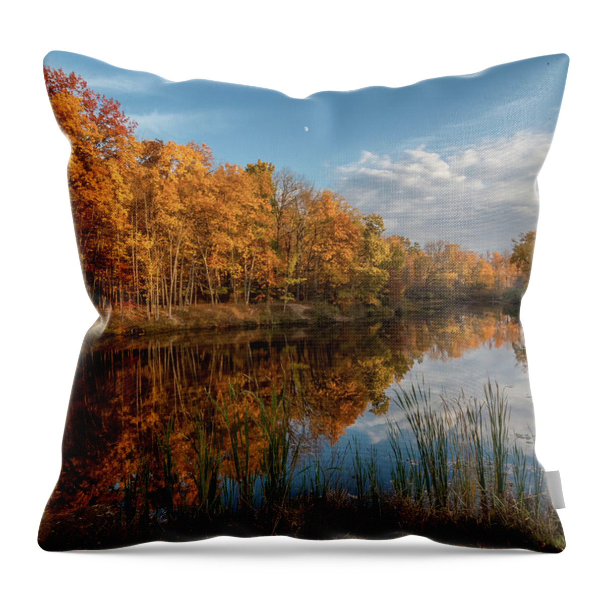 Pond Throw Pillow featuring the photograph Beyer's Pond in Autumn by Lon Dittrick