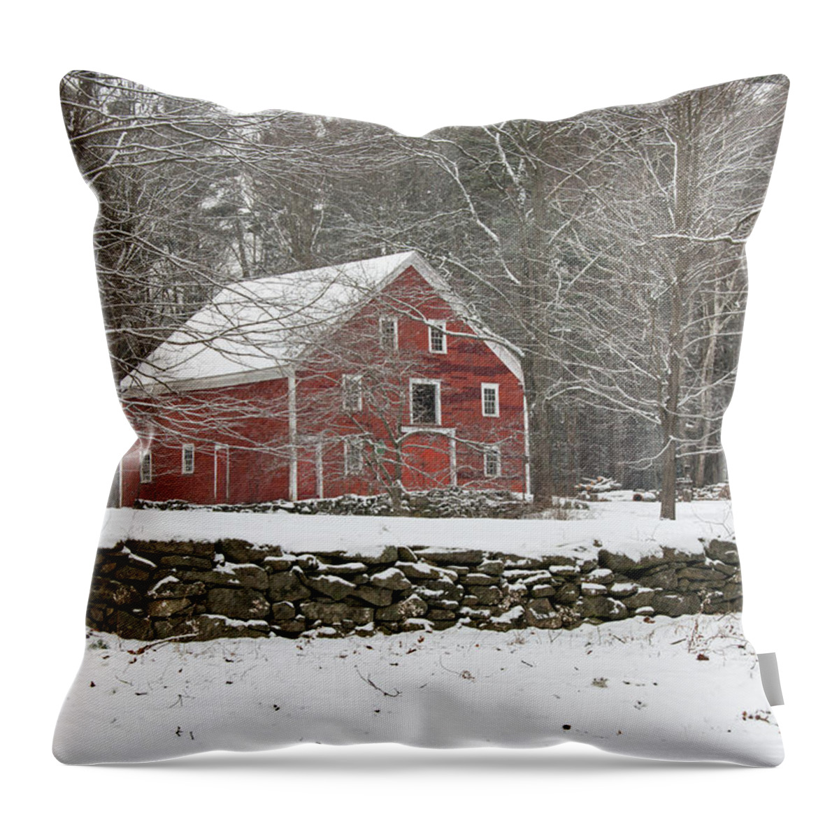 Garage Throw Pillow featuring the photograph Big Red Barn by Brett Pelletier