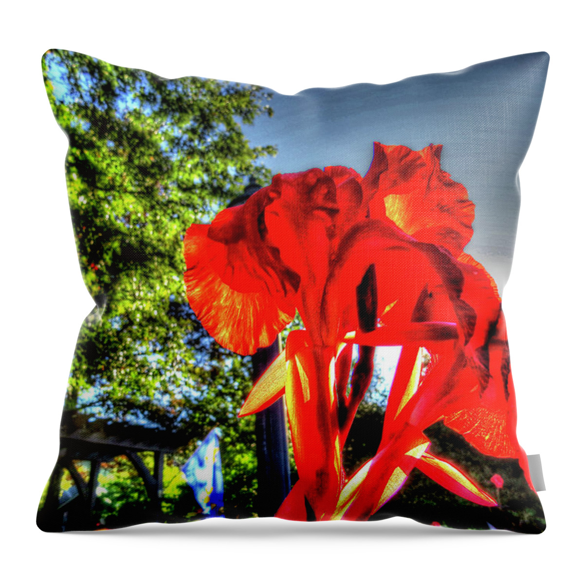 Flowers Throw Pillow featuring the digital art Big Red by Kathleen Illes