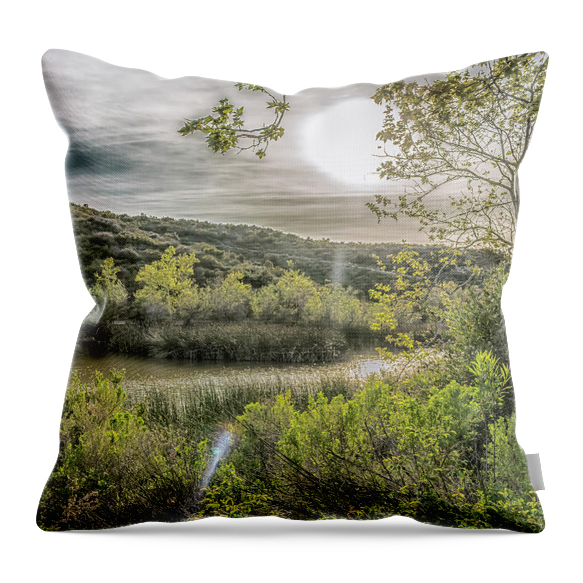 Sun Throw Pillow featuring the photograph Big Sun by Alison Frank
