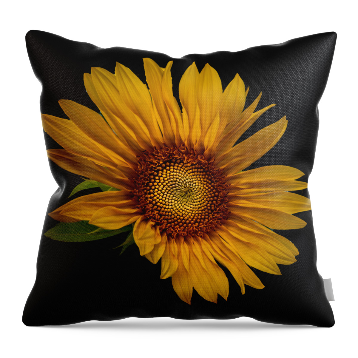 Art Throw Pillow featuring the photograph Big Sunflower by Debra and Dave Vanderlaan