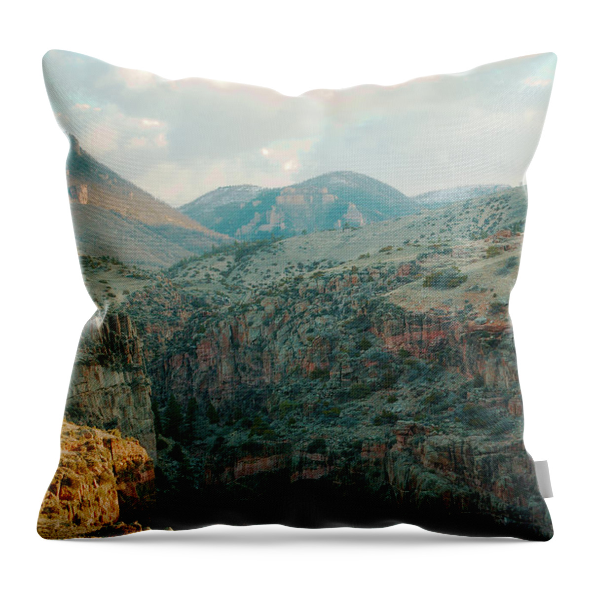 Bighorn Throw Pillow featuring the photograph Bighorn National Forest by Troy Stapek