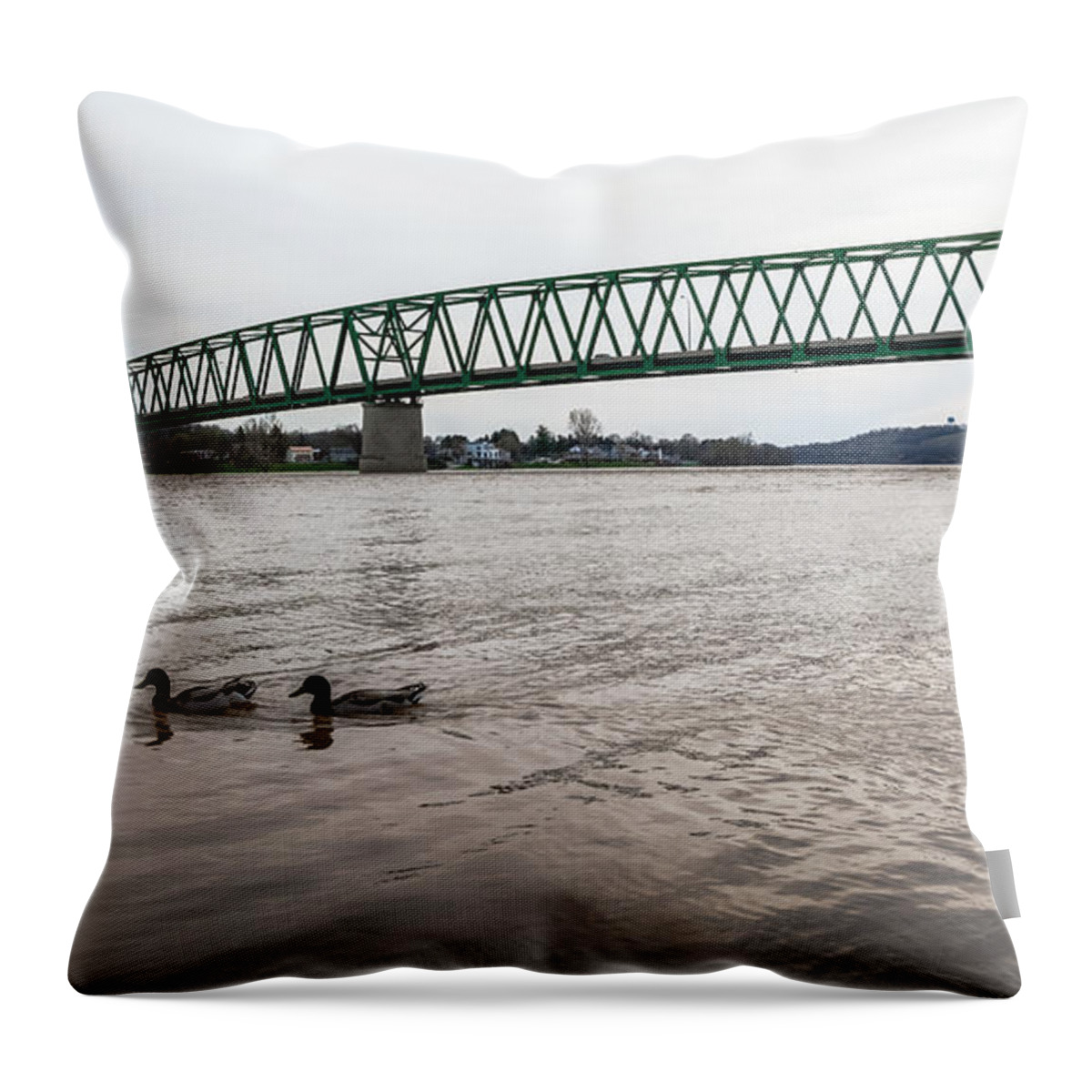 Jan Holden Throw Pillow featuring the photograph Bike Trail for the Ducks by Holden The Moment