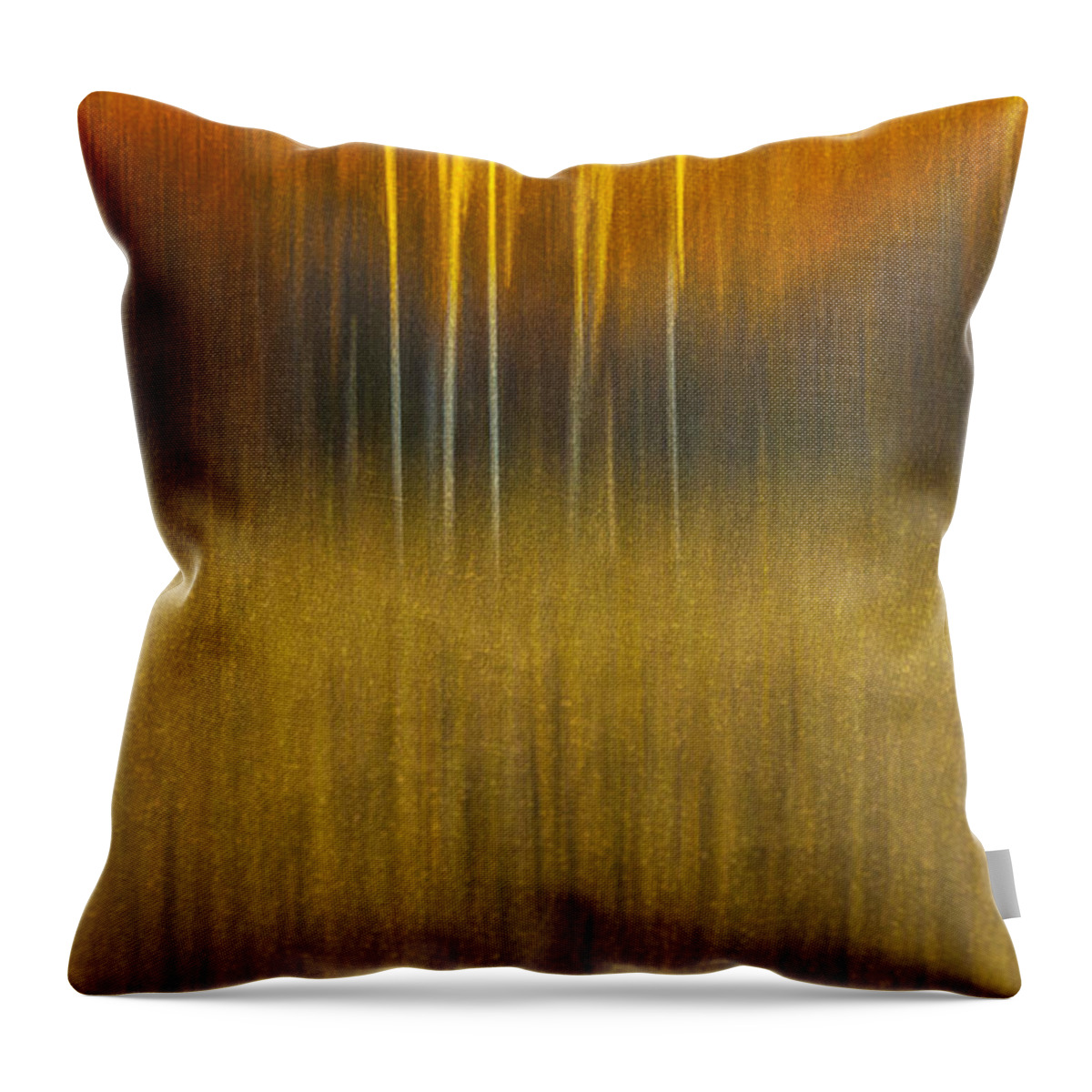 Abstract Throw Pillow featuring the photograph Birch At The Edge Of The Field 2015 by Thomas Young