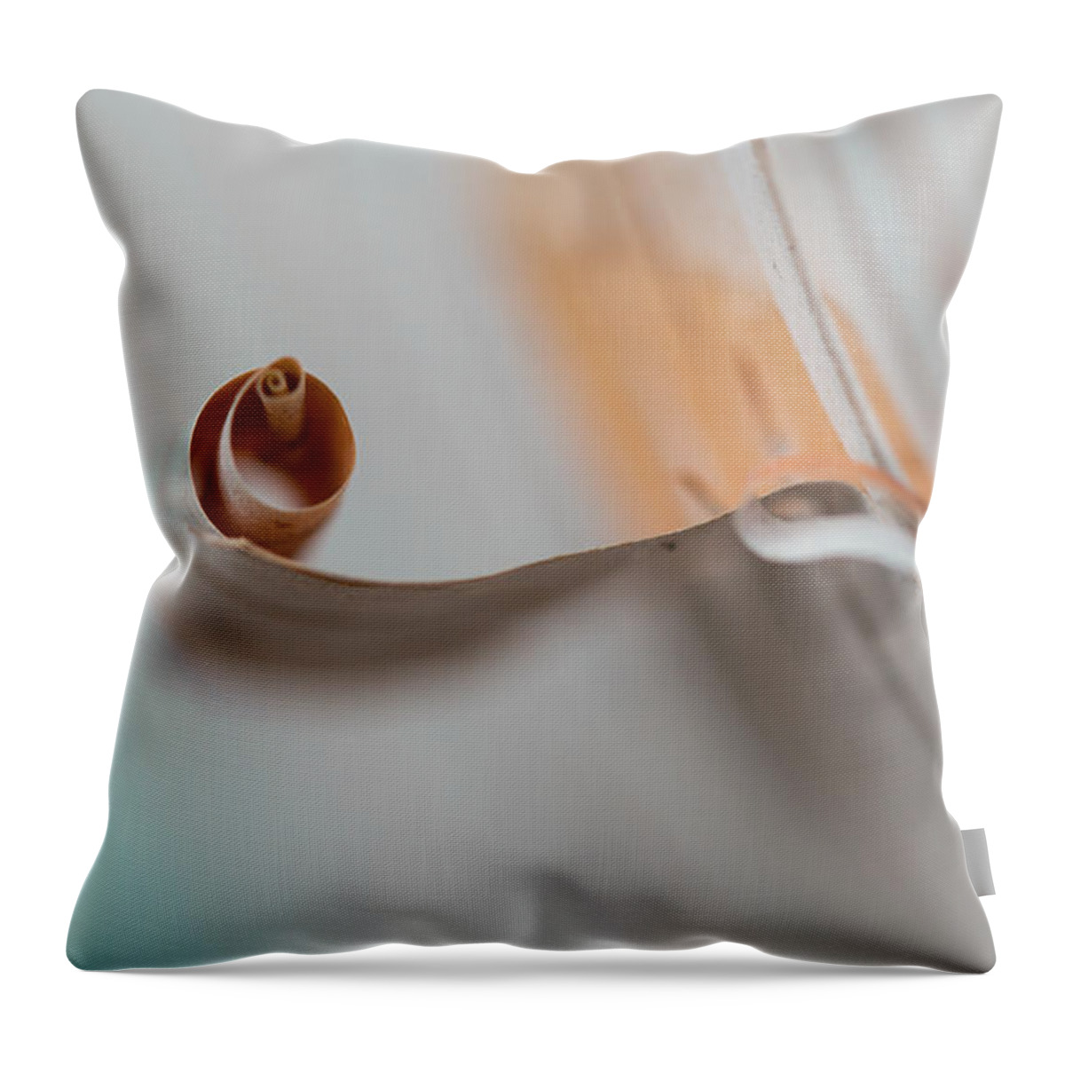 Abstract Throw Pillow featuring the photograph Birch Bark by Jakub Sisak