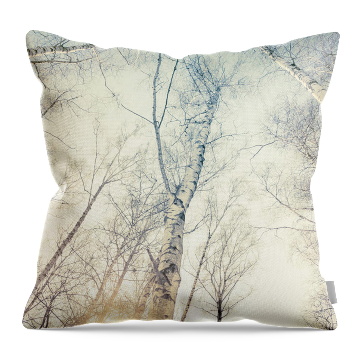 Tree Throw Pillow featuring the photograph Birch Trees 4 by Dorit Fuhg