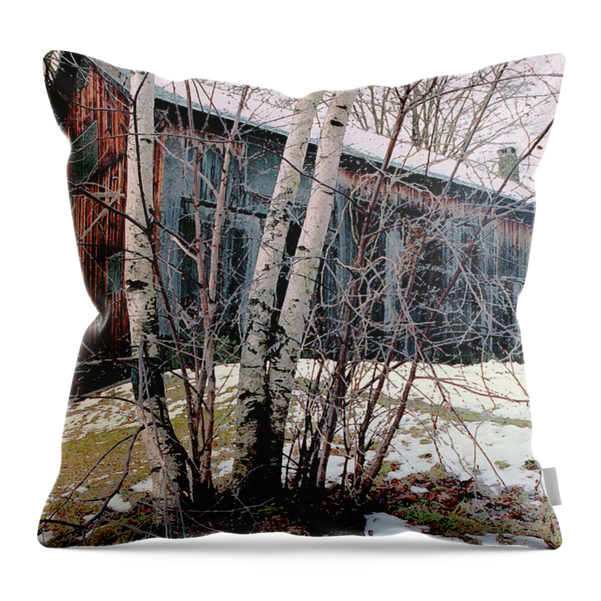 Nyoda Girls Camp Throw Pillow featuring the digital art Birch Trees with Antique Barn, Winter Dusk at Camp Nyoda 1988 by Kathy Anselmo