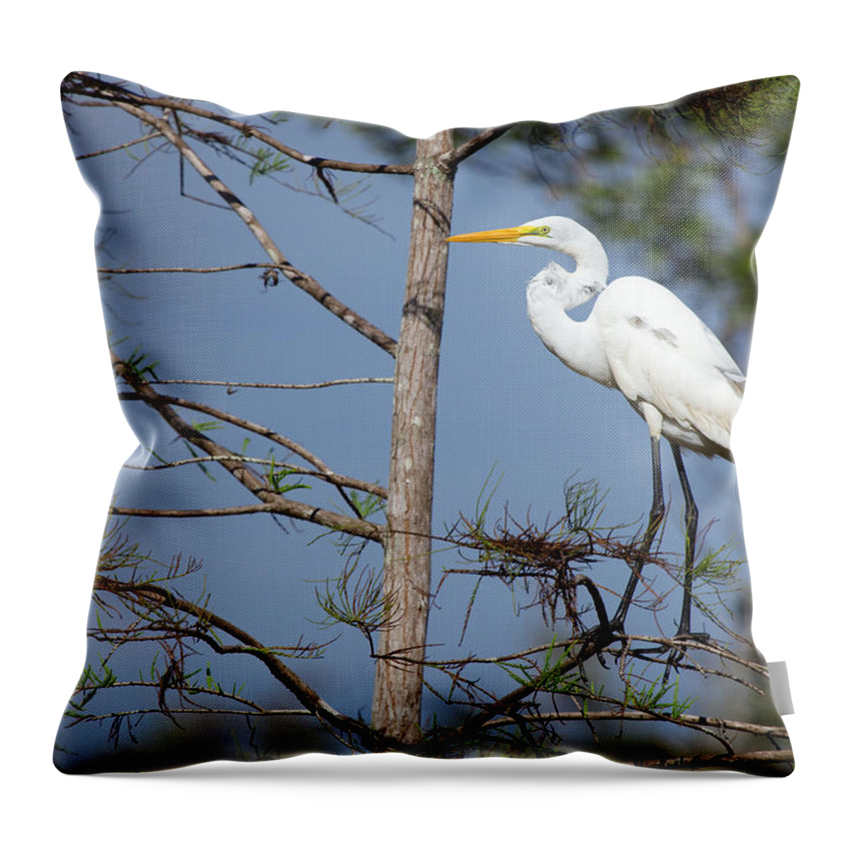 Bird Throw Pillow featuring the photograph Bird 154 by Michael Fryd