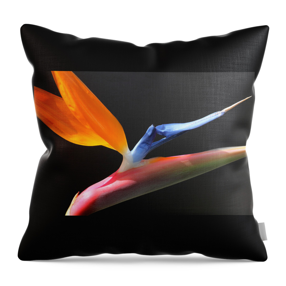 Flower Throw Pillow featuring the photograph Bird of Paradise by Tammy Pool