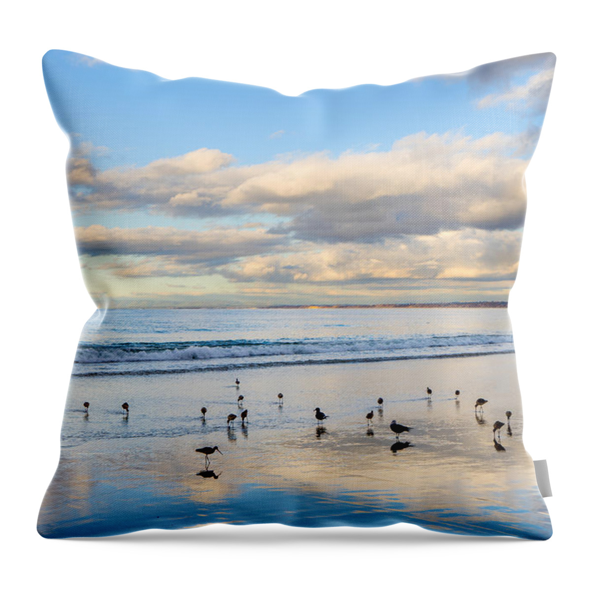 Birds Throw Pillow featuring the photograph Birds on the Beach by Derek Dean