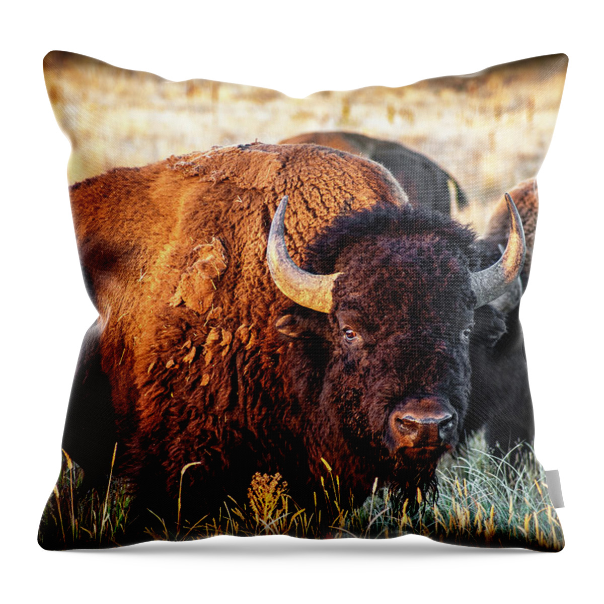 Animals Throw Pillow featuring the photograph Bison #2 by John Strong