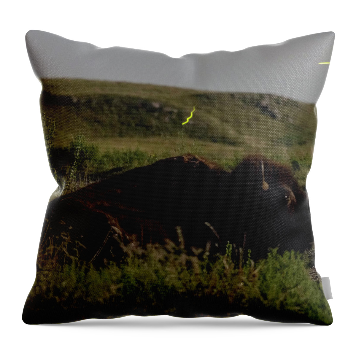Kansas Throw Pillow featuring the photograph Bison by moonlight 03 by Rob Graham