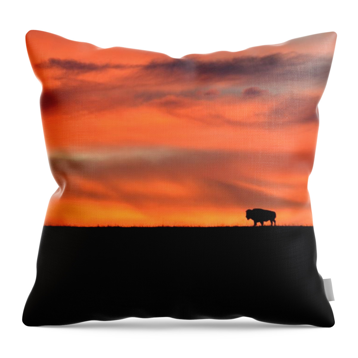  Throw Pillow featuring the photograph Bison in the Morning Light by Keith Stokes